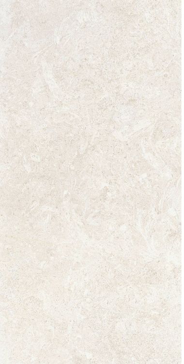 OL Limestone Avorio Matte 12 x 24